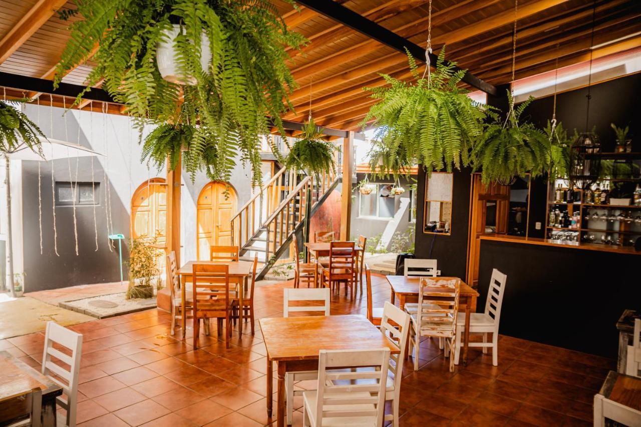 Luz De Luna Hotel Barrio Escalante San José Dış mekan fotoğraf