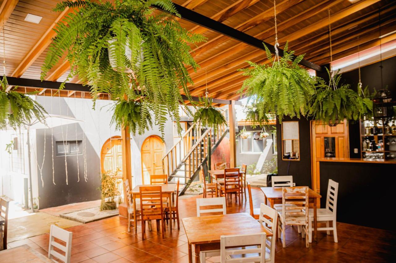 Luz De Luna Hotel Barrio Escalante San José Dış mekan fotoğraf